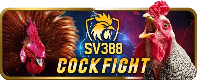 Giới thiệu chương trình VIP MB666